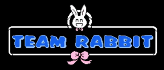 TeamRabbit logo.png